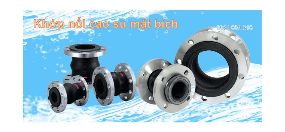 khớp chống rung cao su mặt bích 1