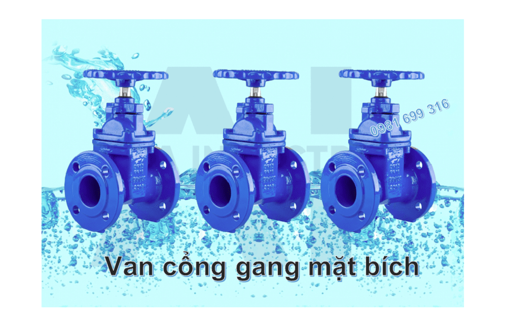 van cổng gang mặt bích 1