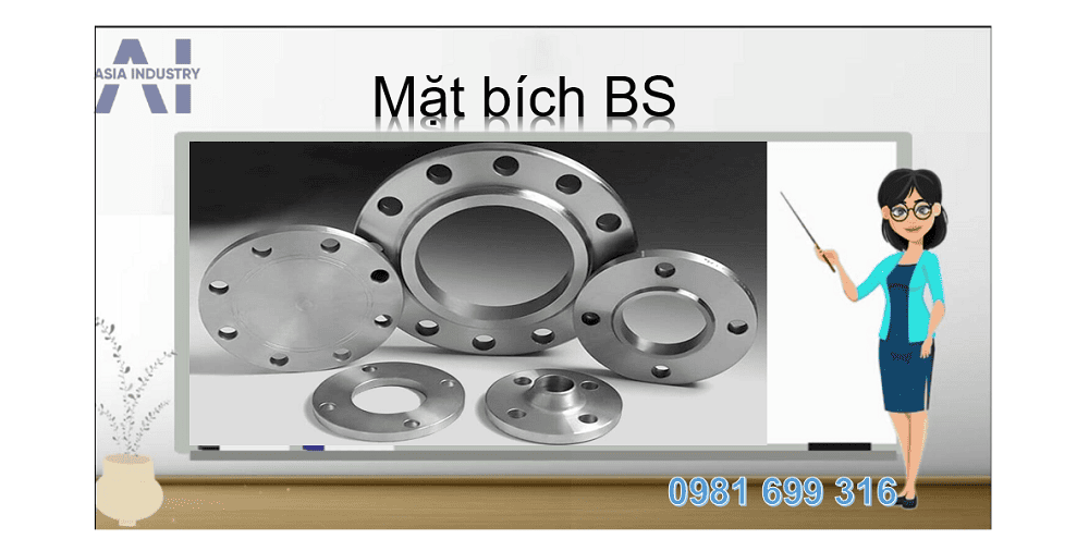 mặt bích inox BS 1