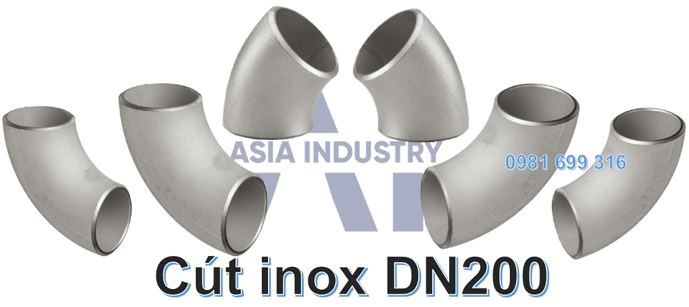 cút inox DN200 1