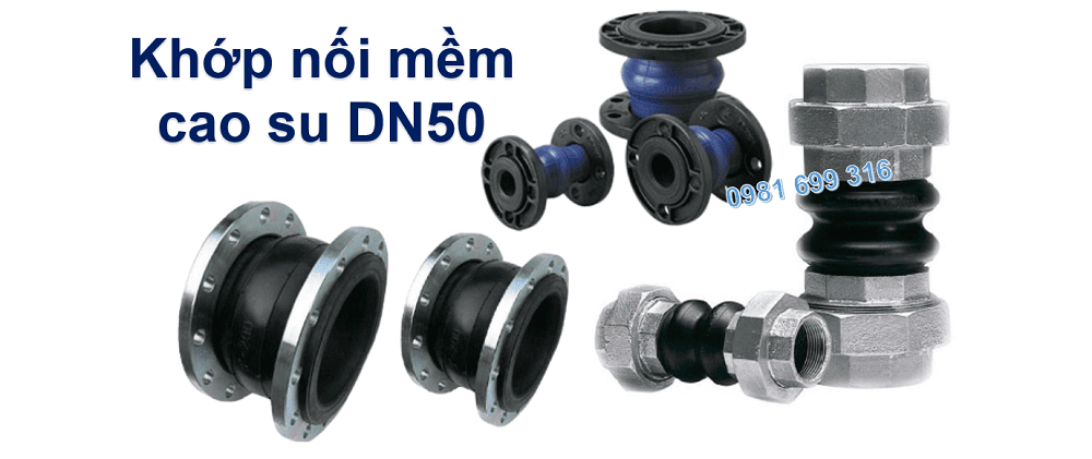 Khớp nối mềm cao su DN50 1