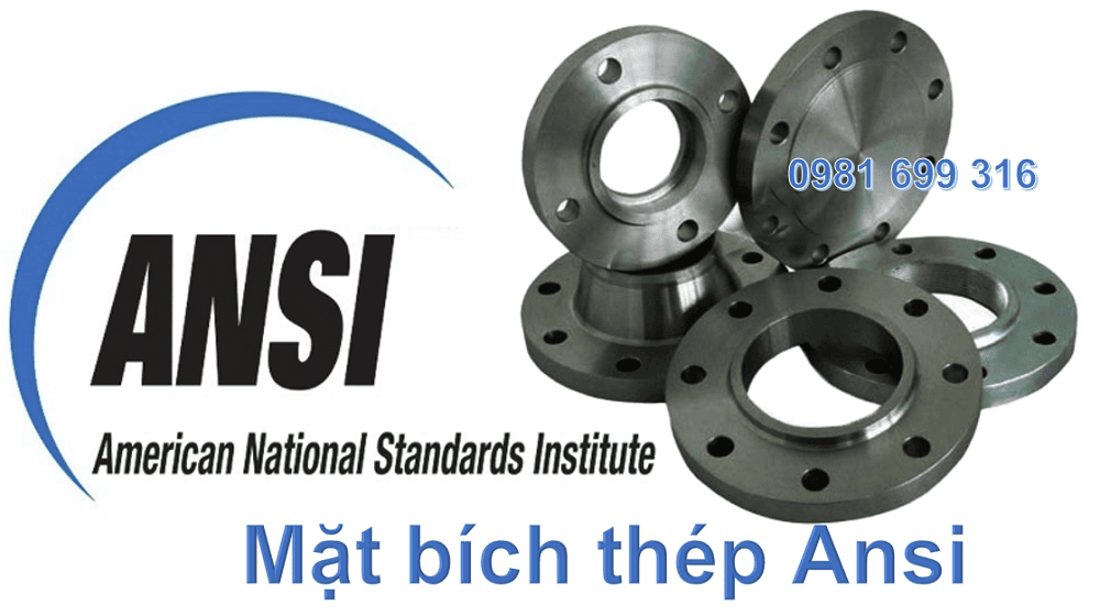 mặt bích thép Ansi 1