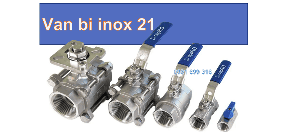 van bi inox 21 1