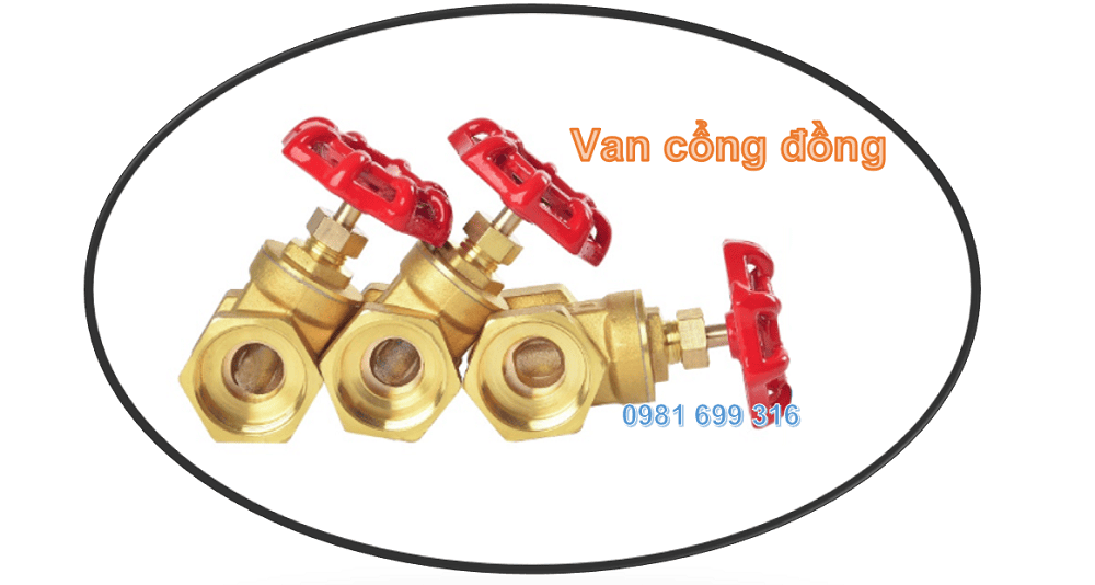 van cổng đồng 1