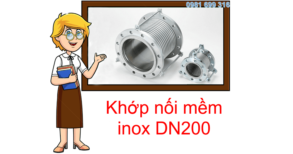 khớp nối mềm inox DN200 1