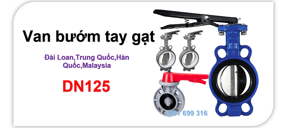 van bướm tay gạt DN125 1