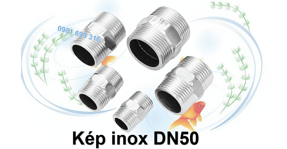 kép inox DN50 1