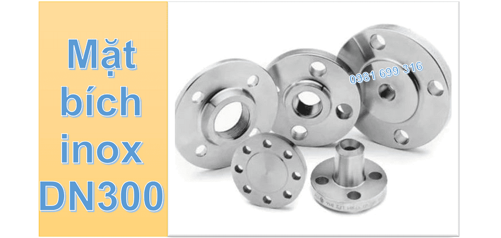 mặt bích inox DN300 1