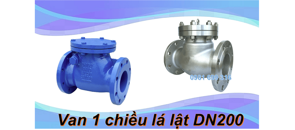 van 1 chiều lá lật DN200 1