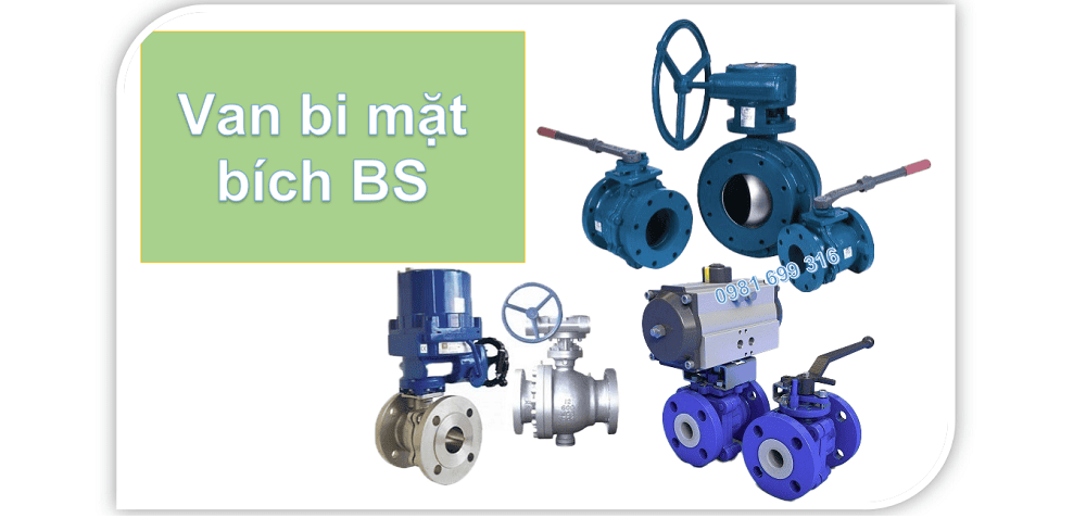 van bi mặt bích BS 1