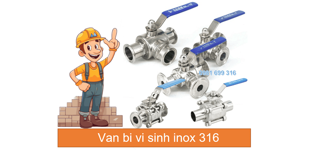 van bi vi sinh inox 316 8