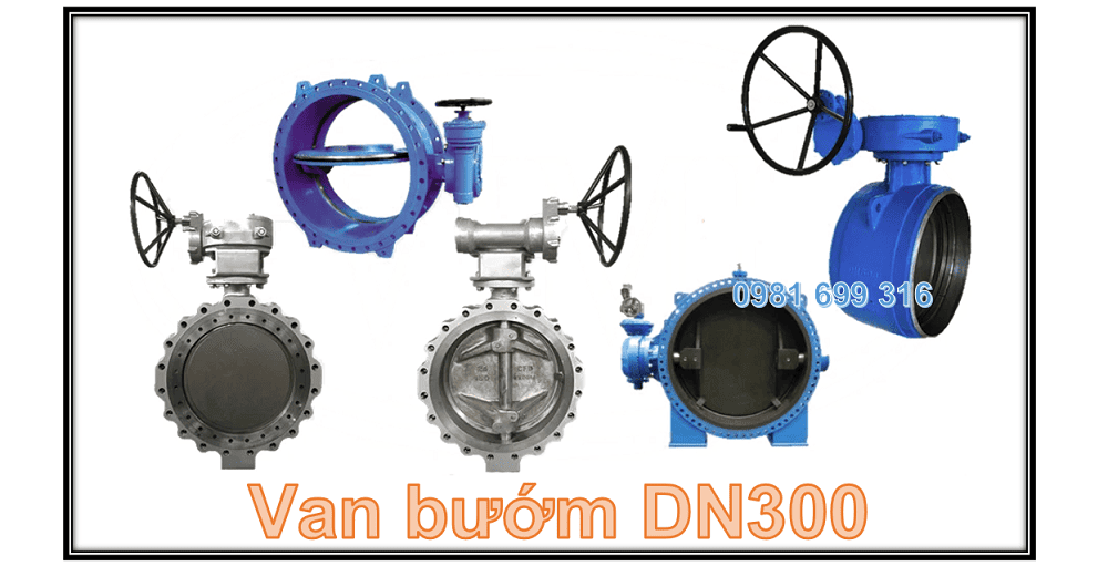 van bướm DN300 1