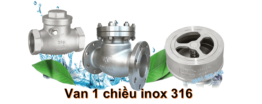 van 1 chiều inox 316 1