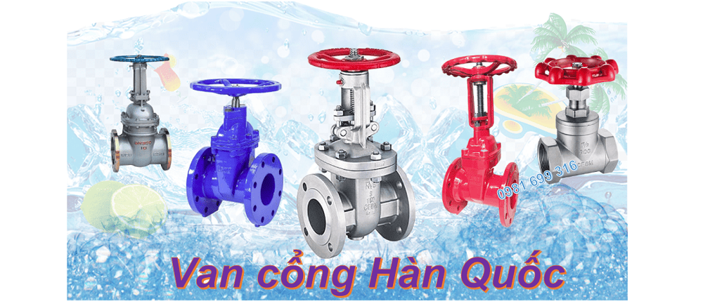 van cổng hàn quốc 1 