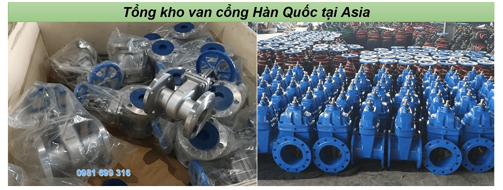 van cổng hàn quốc 3