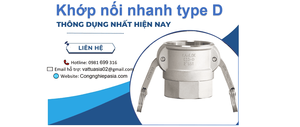 khớp nối nhanh type D 1