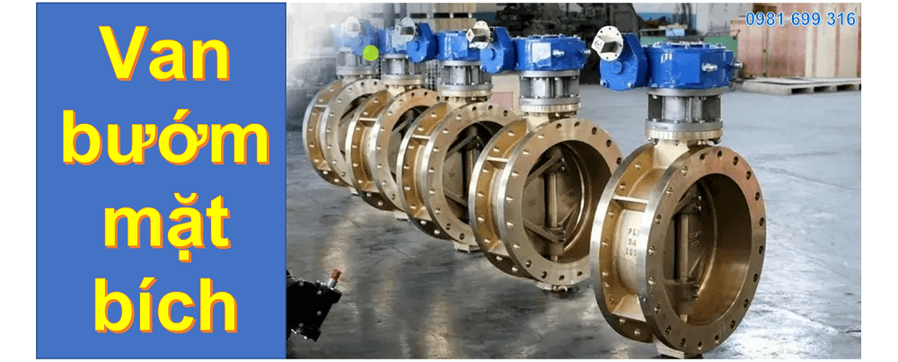 Van bướm mặt bích 1