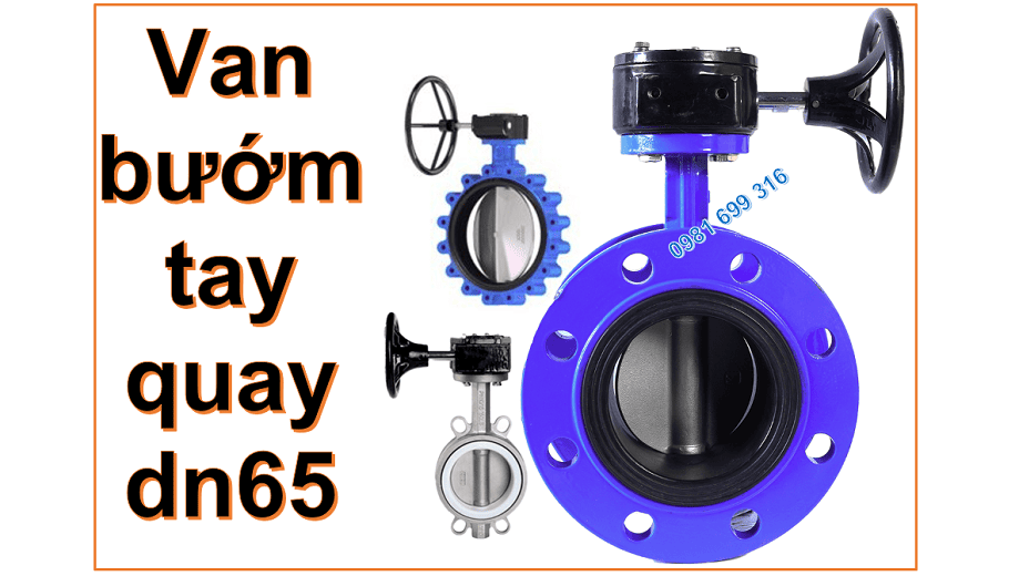 Van bướm tay quay dn65 6