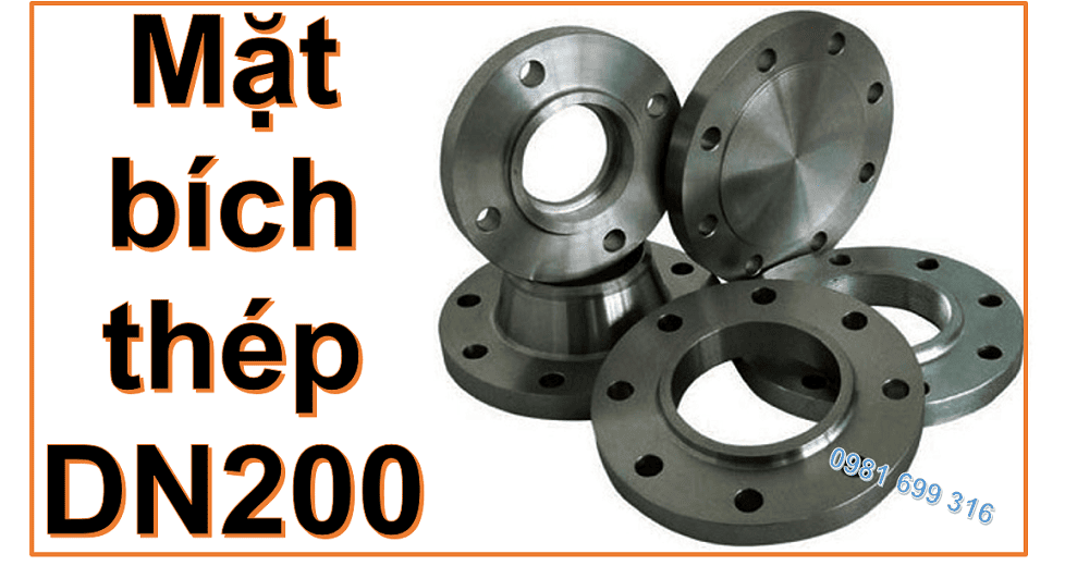 Mặt bích thép DN200 1